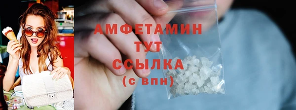 дмт Каменка