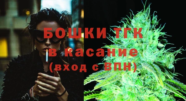 соль ск Инсар