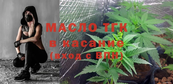 дмт Каменка