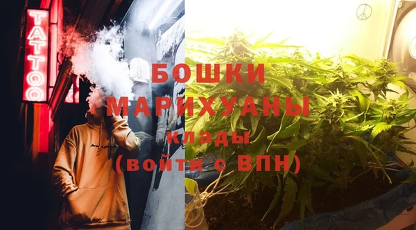 ГАЛЛЮЦИНОГЕННЫЕ ГРИБЫ Каменногорск