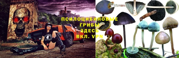 синтетический гашиш Карпинск