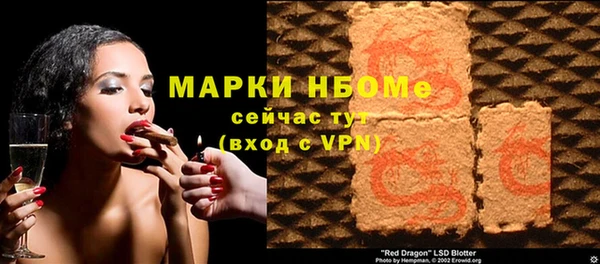 дмт Каменка