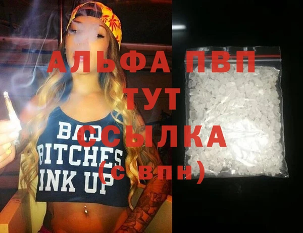 хмурый Инта