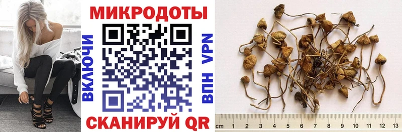 блэк спрут онион  Кораблино  Псилоцибиновые грибы мухоморы 